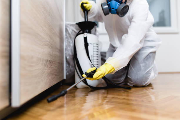 Best Pest Control for Restaurants  in Watervliet, NY
