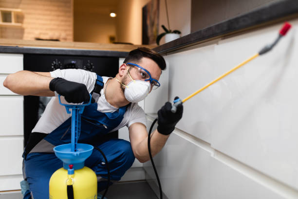 Best Best Pest Control Companies  in Watervliet, NY