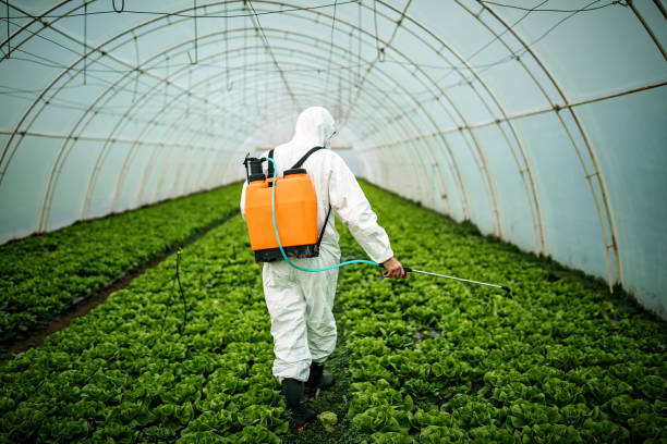 Best Residential Pest Control  in Watervliet, NY