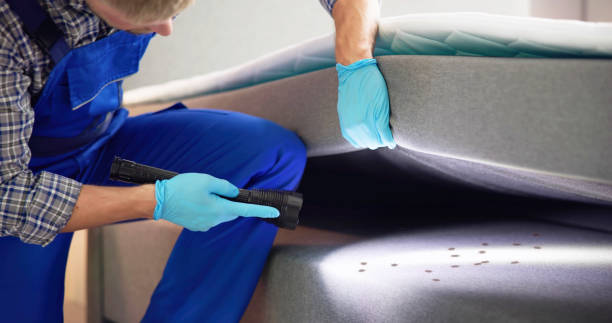 Best Local Pest Control Services  in Watervliet, NY