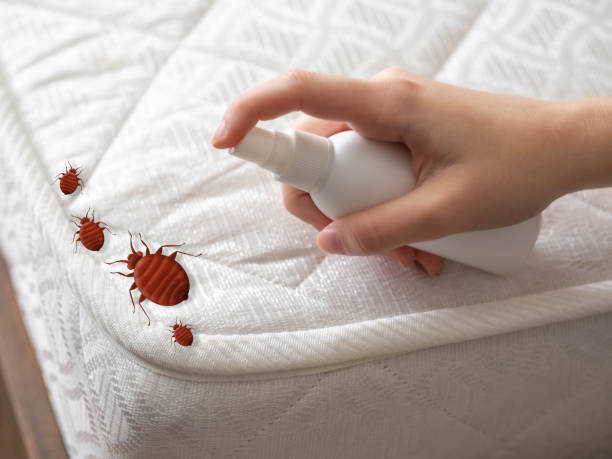 Best Cockroach Control Services  in Watervliet, NY