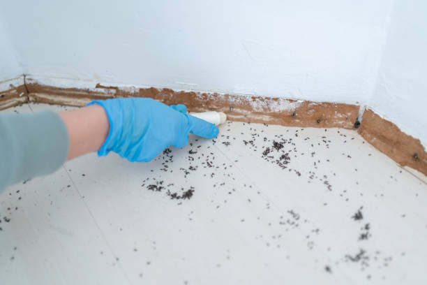 Best Residential Pest Control  in Watervliet, NY