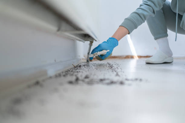 Best Pest Removal Services  in Watervliet, NY