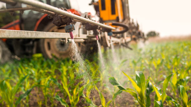 Best Commercial Pest Control Services  in Watervliet, NY