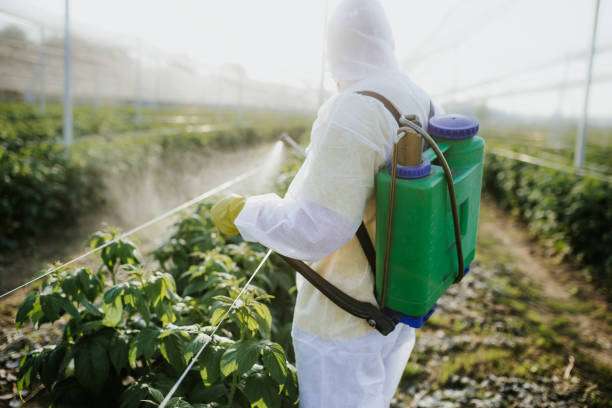 Pest Control Cost in Watervliet, NY